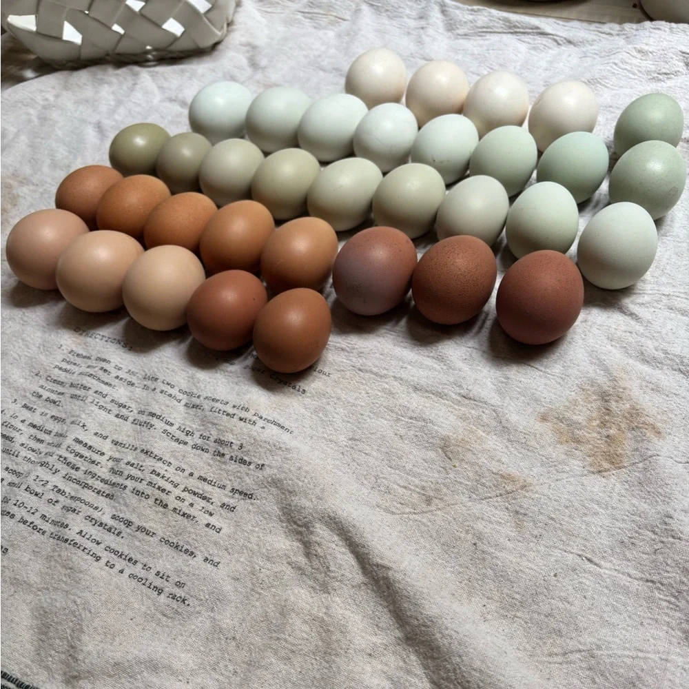 Hatching eggs 🪺 - Picture 4 of 15